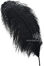 Перо страуса черное премиум  65-75 см