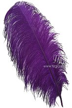 Перо страуса премиум фиолетовое 65-75 см
