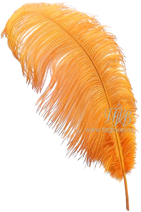 Перо страуса  премиум оранжевое 60 см