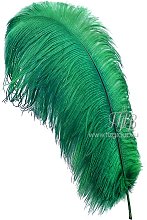 Перья страуса темно-зеленые премиум 65-75 см