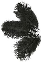 Перо страуса черное 30-35 см