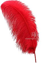 Перо страуса премиум красное 65-70 см