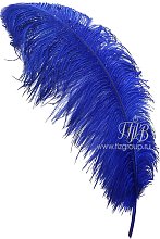 Перо страуса ярко-синее 65-75 см