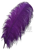 Перо страуса фиолетовое 55-60 см