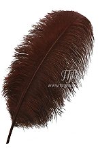 Перо страуса коричневого цвета 55-60 см