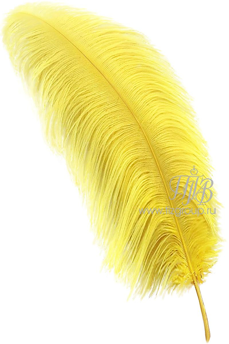Перо страуса  желтое 65-75 см премиум